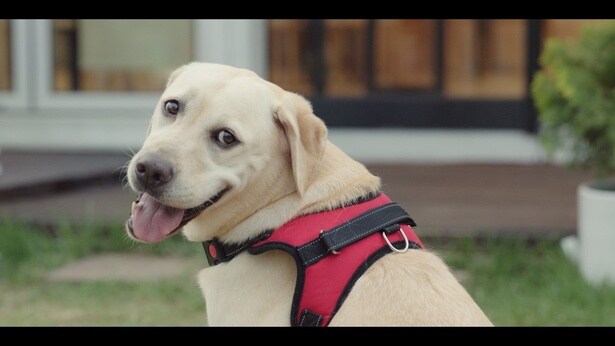 動物好きのスンジェ氏は、撮影中、ソフィとのコミュニケーションもバッチリだった