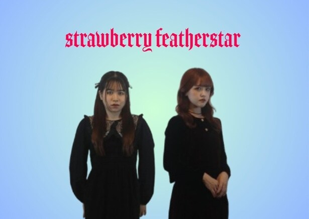 strawberryfeatherstar