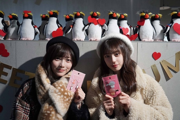 「乃木坂、逃避行。SEASON4」第11回に登場する池田瑛紗、矢田萌華(写真左から)