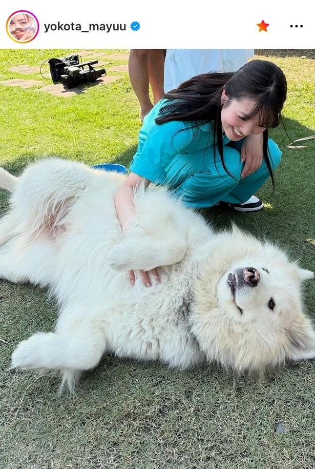 【写真】カメラの前で“前のめり”…横田真悠、もふもふ犬をなで満面笑顔