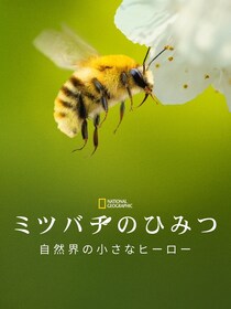 ジェームズ・キャメロン製作総指揮「ミツバチのひみつ」など、ネイチャードキュメンタリー作品が配信決定