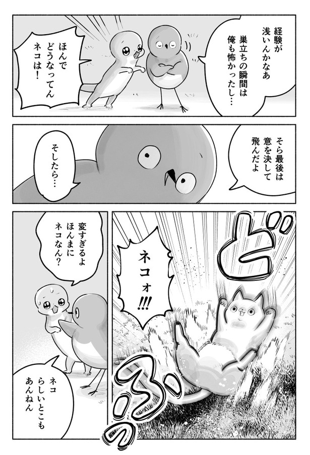『めじとやも』第27話(6/19)