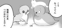 天敵に同情する”メジロ”と”ヤモリ”…失敗続きでドジな”ネコ”を、全力で応援していく流れが「漫才みたい」【漫画】