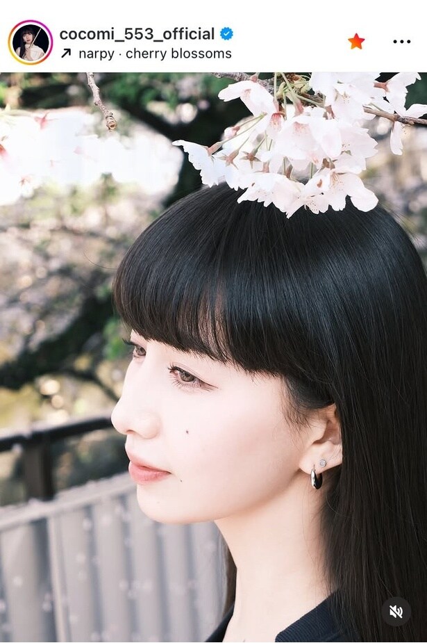 【写真】桜の精が宿ったよう…Cocomi、妹・Koki,撮影の満開の桜と“横顔”カット