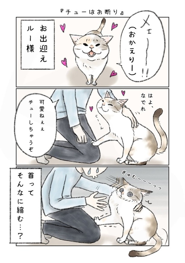 『おてんばルー様の気ままな日々』(1／17)