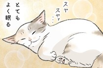 お出迎えしてくれるのに顔を近づけたら全力拒否…作者の愛猫・ルー様の気ままな日常に「惚れた」と好評の声【漫画】