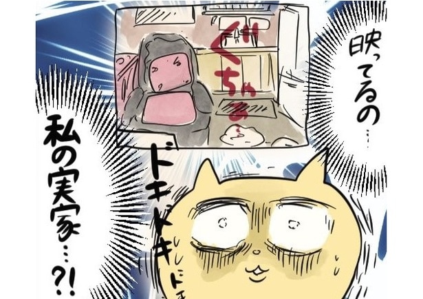 作者のオンライントークのイベントに参加してくれた母…意図せぬ“実家が映されるトラブル”に「腹筋崩壊」と反響【漫画】