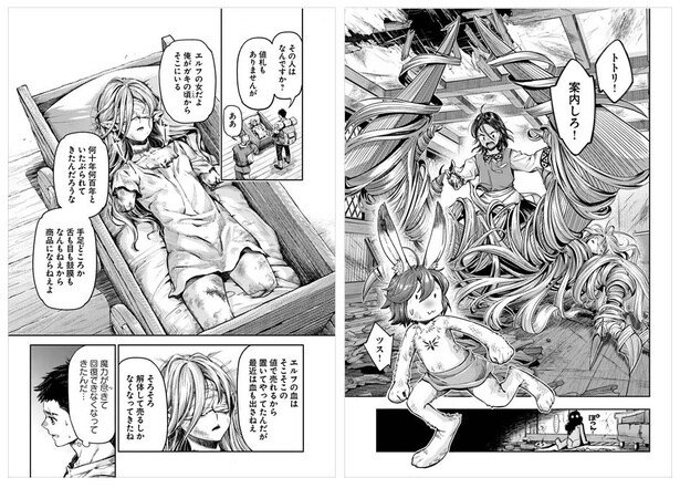 ※左が登場時のココさん。訳アリ＆ズタボロ状態で主人公たちに迎えられ、手厚く看護される(1巻)。右が変身後のココさん、足を前面に出すスタイルでクワガタかアリジゴクっぽい。回復したわけではない謎の状態だが強く、人を乗せられる(3巻)