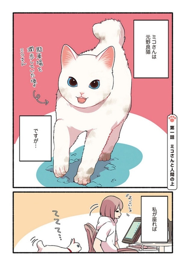 『愛されたがりの白猫ミコさん』より