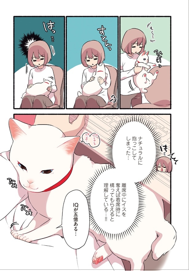 『愛されたがりの白猫ミコさん』より