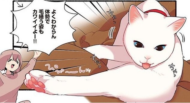 ”愛しい存在にコールを入れたい”…趣味の推し活ができない主人公が、愛猫を懸命に推していく展開に「愛したがりの主」の声【漫画】