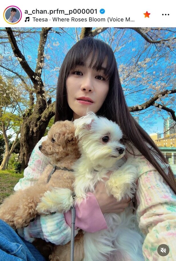 【写真】Perfume・あ～ちゃん、愛犬を抱く“癒し”桜カット