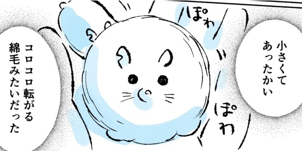 『全ハムスターに謝りたくなった話』が話題