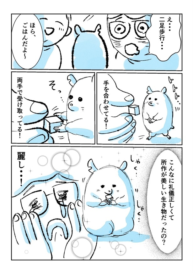 『全ハムスターに謝りたくなった話』(4／4)