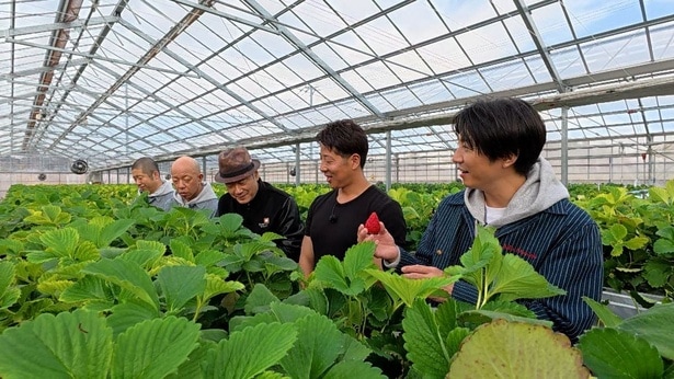 【写真】みずみずしいいちごに相葉も笑顔