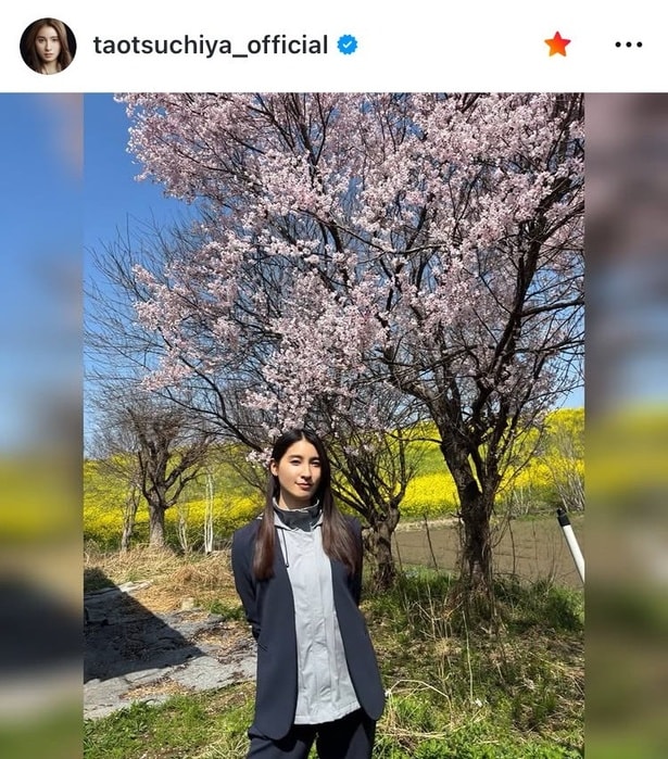【写真】桜吹雪の中に女神が宿ったよう…土屋太鳳、ジャケットコーデ×“微笑む”姿
