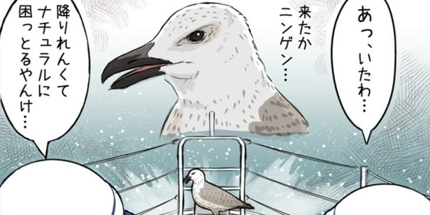 『かもめを拾った話』が話題