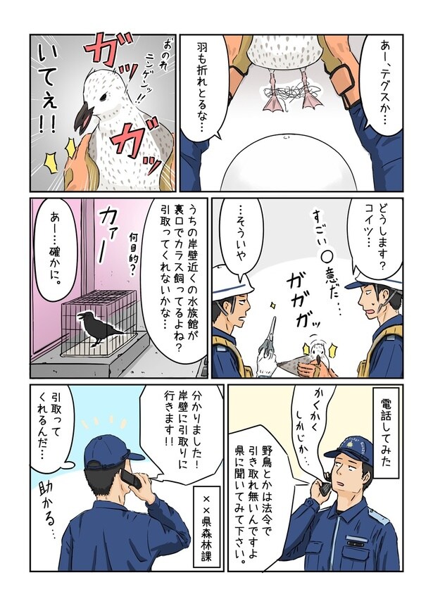 『かもめを拾った話』(2/6)