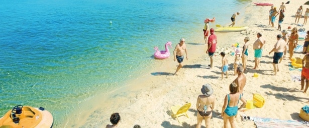 「シャーク・ド・フランス」