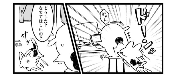 『定時厳守チワワ』より