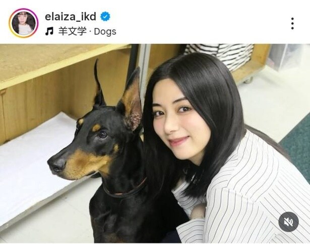 【写真】池田エライザ、ドーベルマンをなでなでする仲良しオフショット