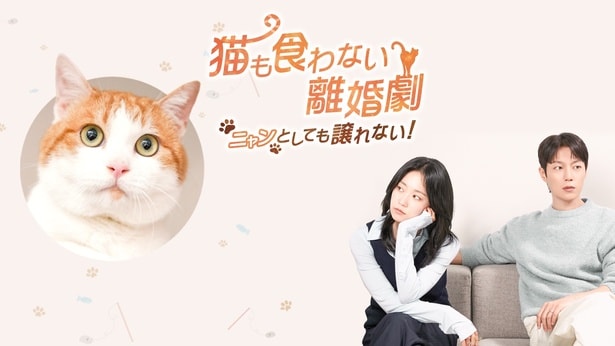「猫も食わない離婚劇～ニャンとしても譲れない！～」
