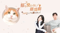 ユン・ドゥジュン＆キム・スルギが10年ぶりに共演　“ニャン育権”争い描く韓国ドラマ「猫も食わない離婚劇」FODで独占配信