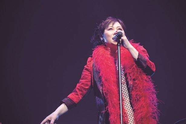 「渡辺美里 ULTRA POP スペシャル 〜じゃじゃ馬40th〜」より