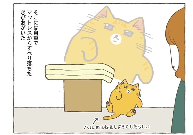 『うちの猫たちは気が合わない／重い猫』より