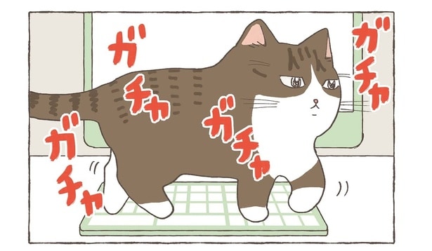 『うちの猫たちは気が合わない／キーボードと猫』より