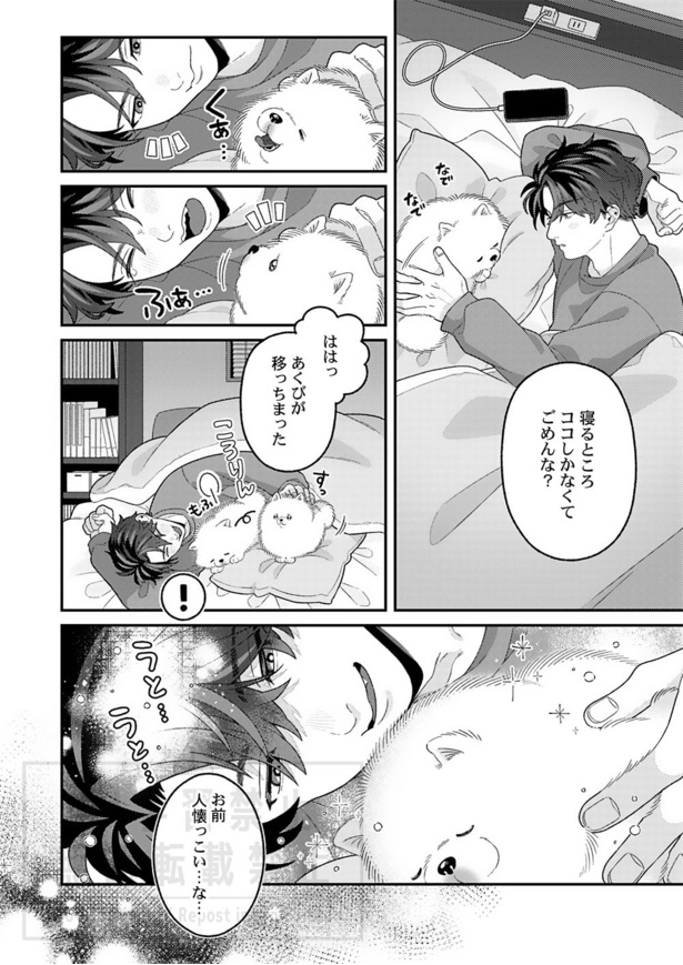 『しっぽがなくても、きみがすき』(15／17)