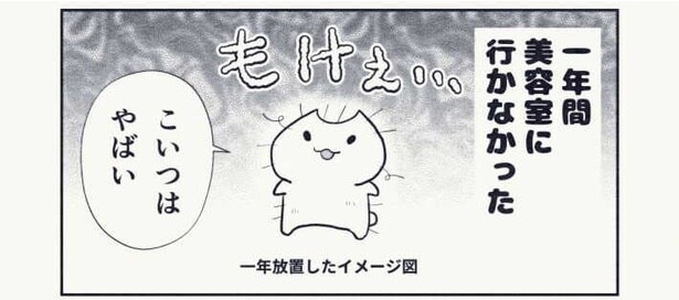 『1年ぶりの美容室の話』より