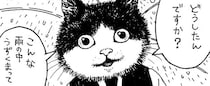猫の妖怪が切り盛りするカフェ？相談を受けたのに「猫だからわかりませんね」と一蹴する様子に「マジで行きたい」【漫画】