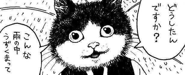 猫の妖怪が切り盛りするカフェ？相談を受けたのに「猫だからわかりませんね」と一蹴する様子に「マジで行きたい」【漫画】