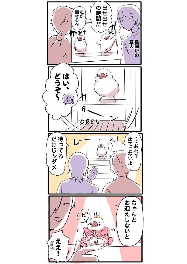 『それぞれの、放鳥スタイル』