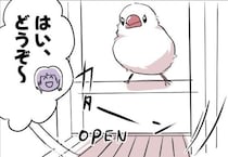 「待ってるだけじゃダメ」…ケージを開けても出てこない文鳥への“お嬢様”対応に「ワガママも愛おしい」の声【漫画】