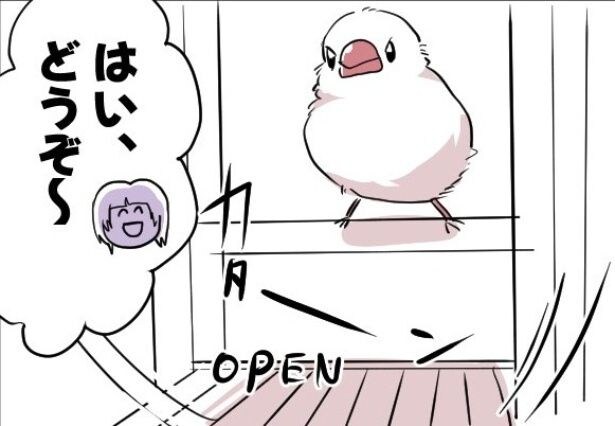 「待ってるだけじゃダメ」…ケージを開けても出てこない文鳥への“お嬢様”対応に「ワガママも愛おしい」の声【漫画】