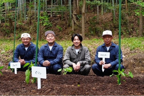 「相葉マナブ」(毎週日曜夜6:00-6:56、テレビ朝日系)5月17日(日)放送回より