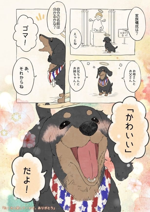 『自分の名前を勘違いしている子(犬編)』(1／27)