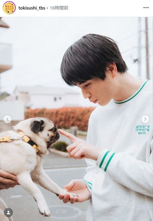 【写真】中沢元紀、パグ犬・ホタテの鼻を触るショットに胸キュン