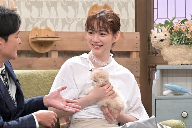 スコティッシュフォールドを抱っこするのん