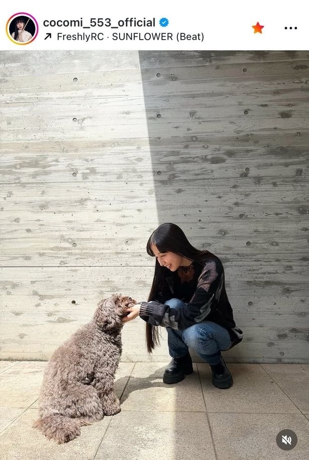 【写真】Cocomi、撮影返りに愛犬がお出迎え…心をほぐす温かさが伝わるキュートな姿