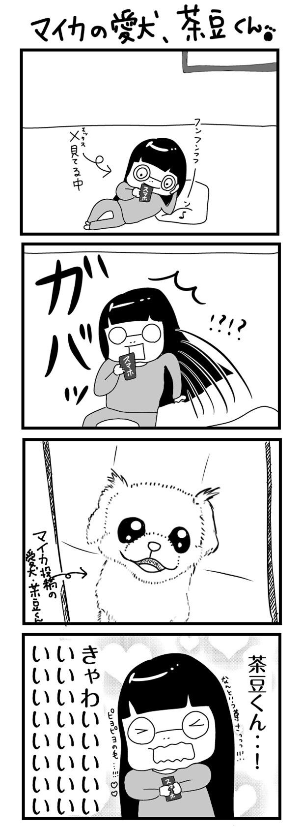 マイカの愛犬、茶豆くん