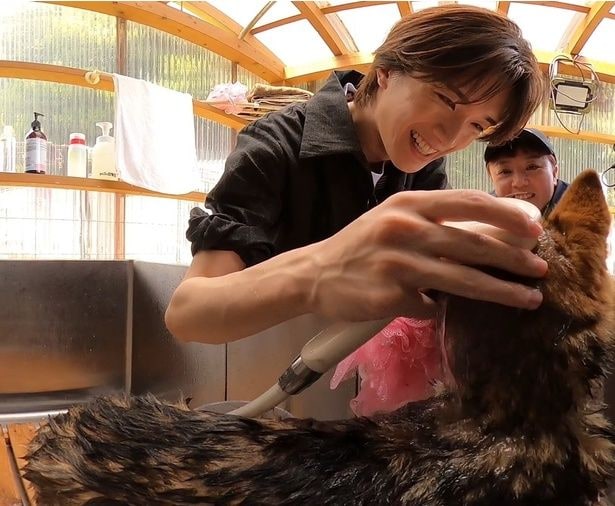 目を細めて優し気な笑顔で犬にシャワーをかける山中柔太朗