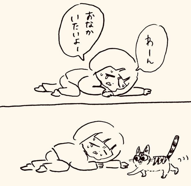 2ブロック目 トボトボと近づいてくる猫