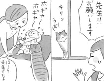 俳句をもとに描かれた“ねこまんが”…泣き止まない赤ん坊をあやす“先生”の姿に「癒された」と反響【漫画】