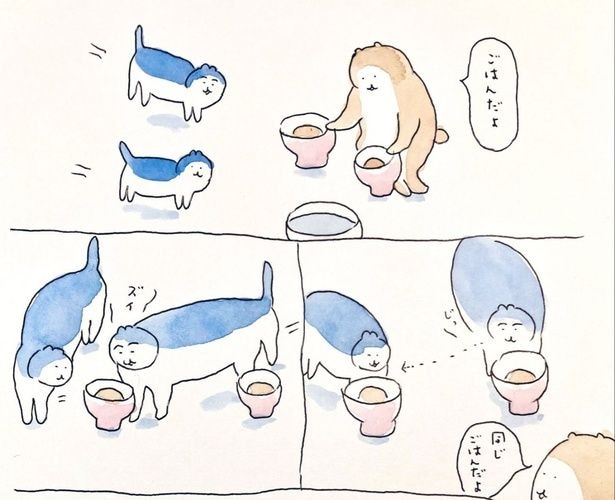 もう一方のごはんが気になってしまう猫