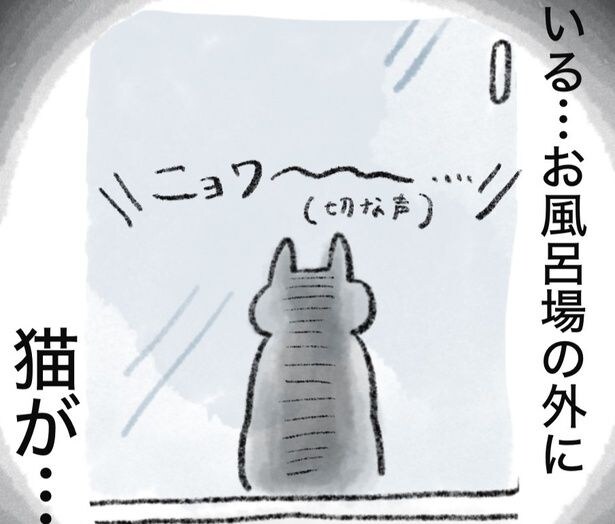 風呂場の前にやってきた飼い猫のキキ