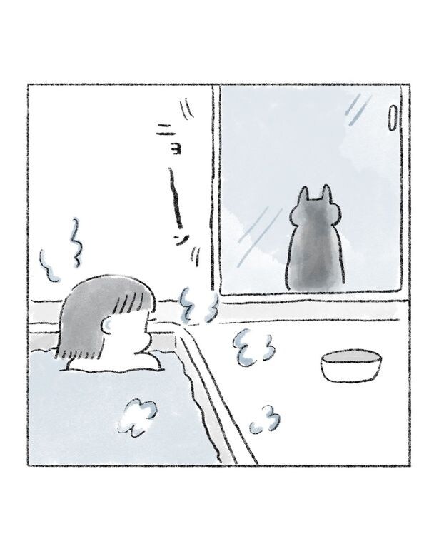 『風呂に入ってくる猫』(1／6)