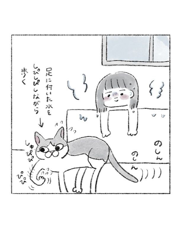 『風呂に入ってくる猫』(3／6)